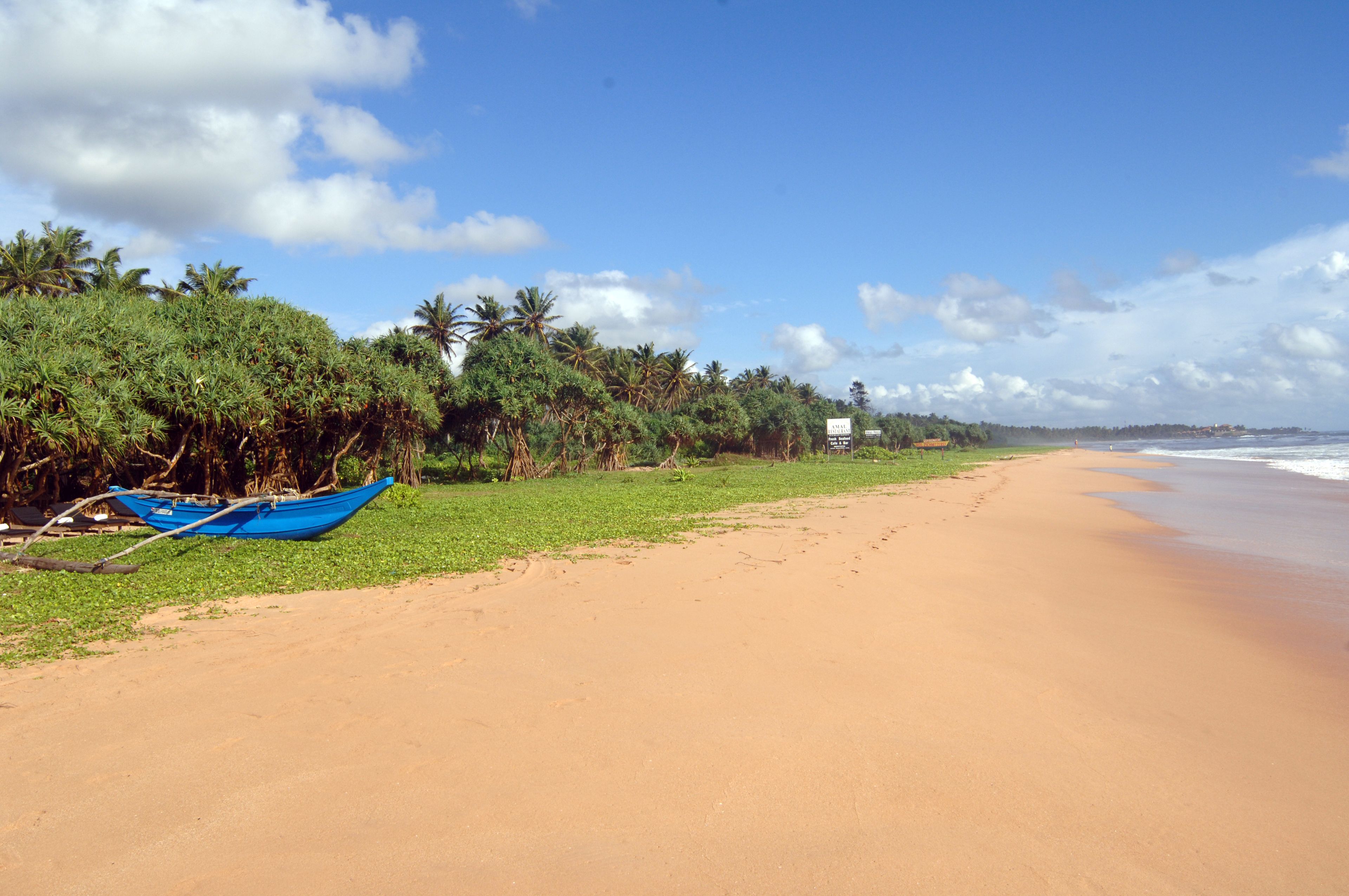 A beach with a blue boat on the sand, palm trees, and a clear sky.
