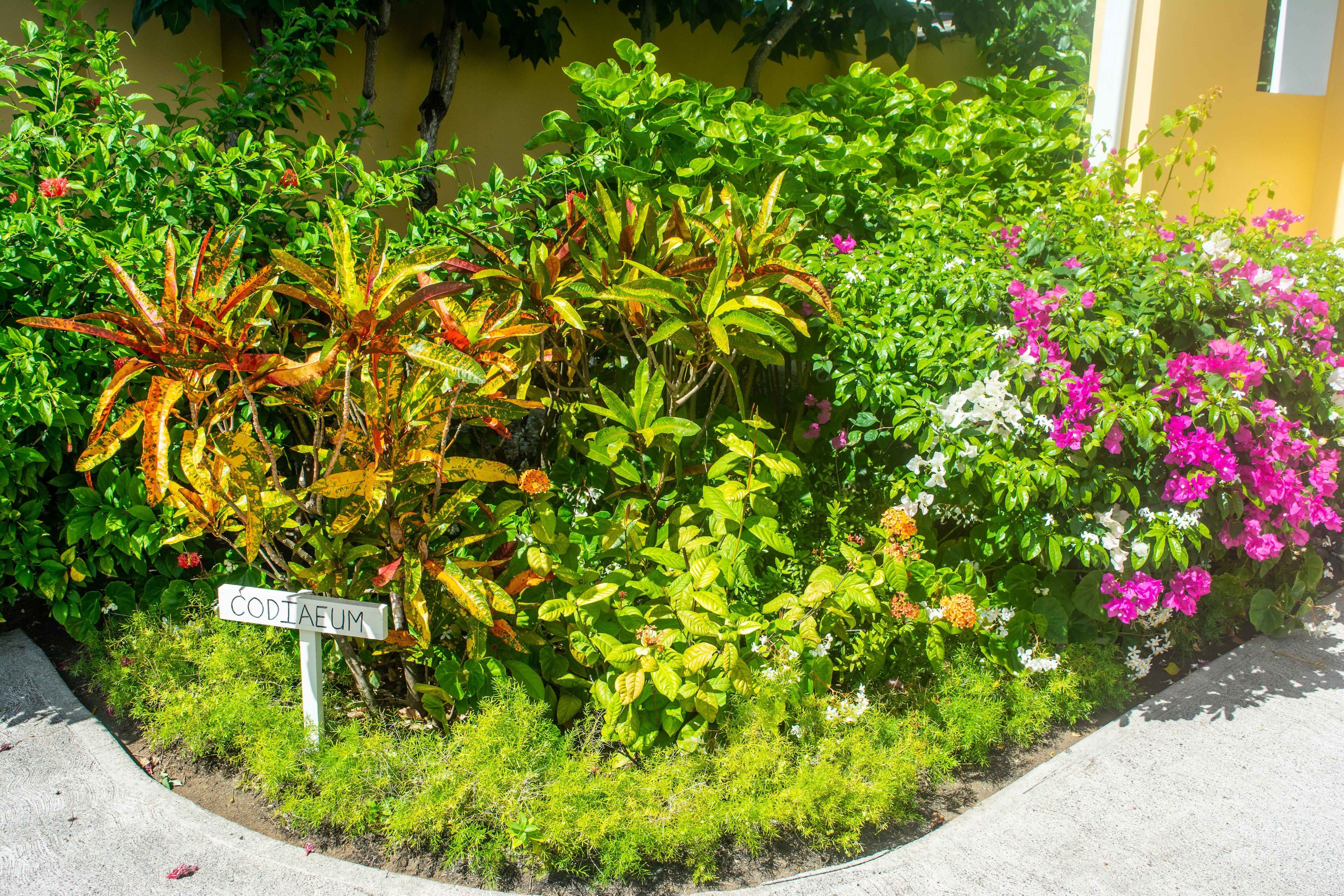 Foto - Cleopatra Villas - Sea View