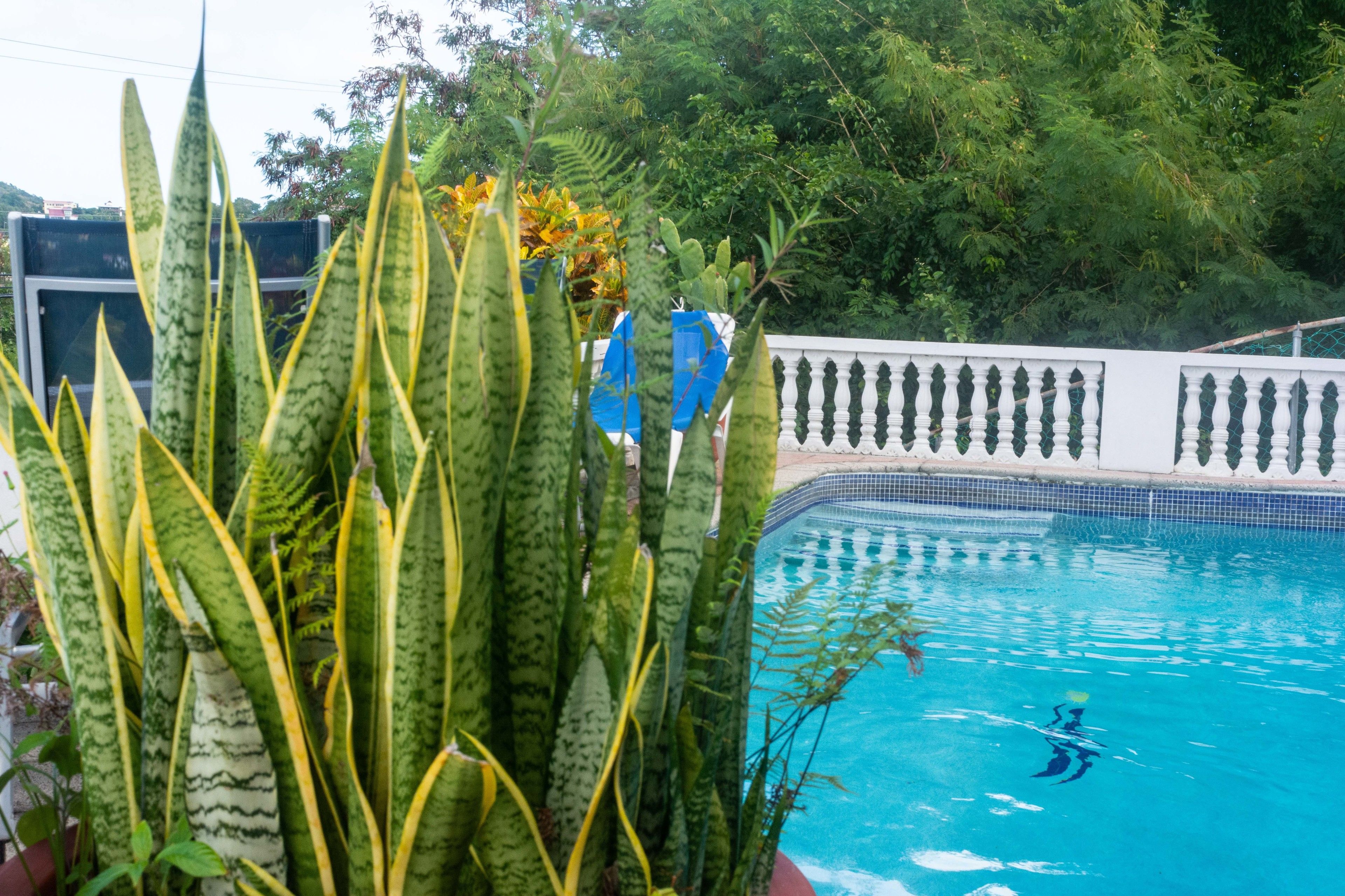 Foto - Cleopatra Villas - Sea View