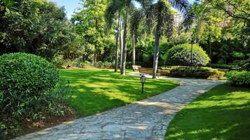 Jardin
