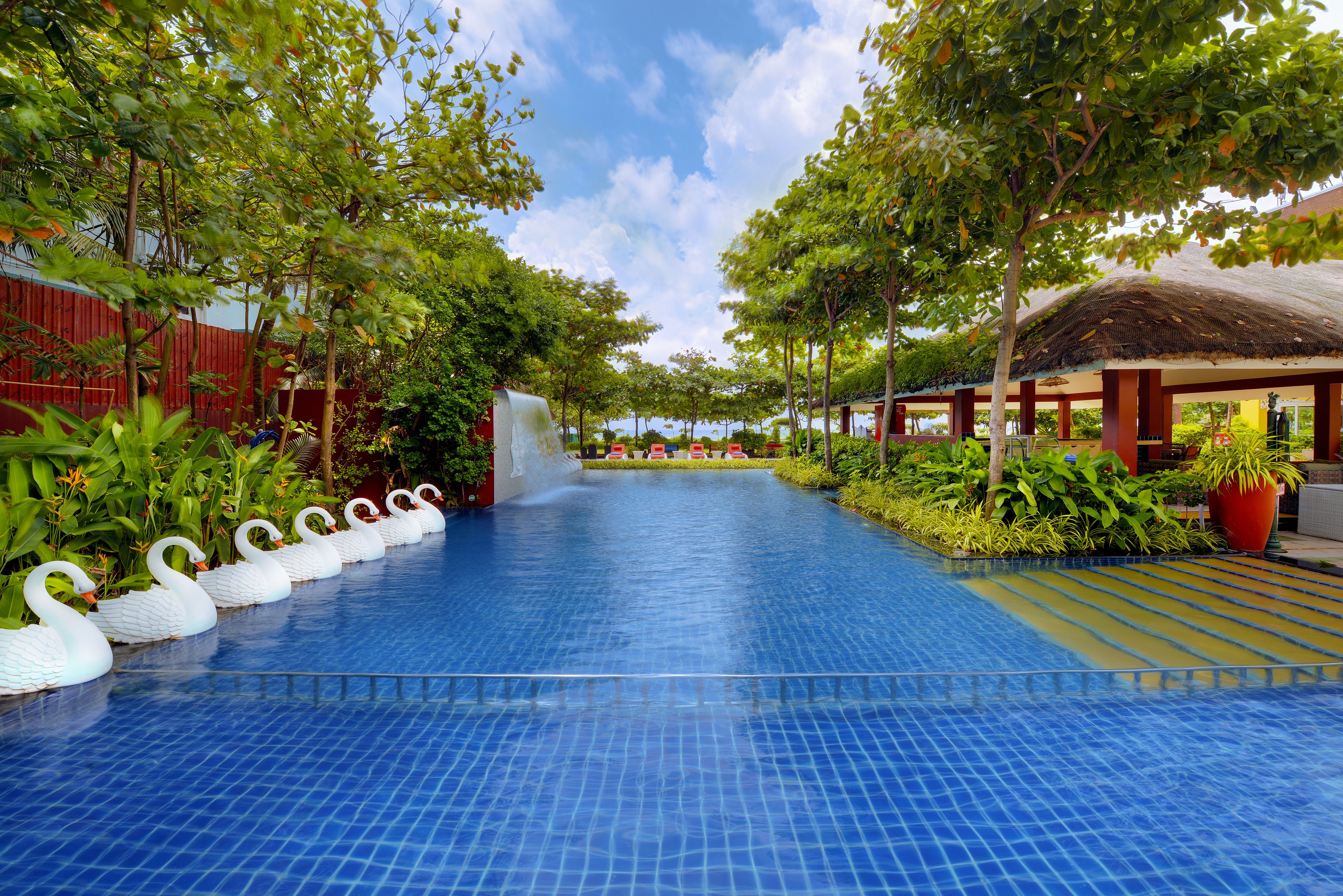 outdoor pool, pool loungers