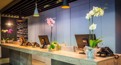 ibis Porto Alegre Assis Brasil