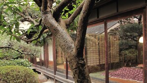 En traditionell japansk byggnad med stora skjutbara glasdörrar, en träpromenad och frodig grönska.