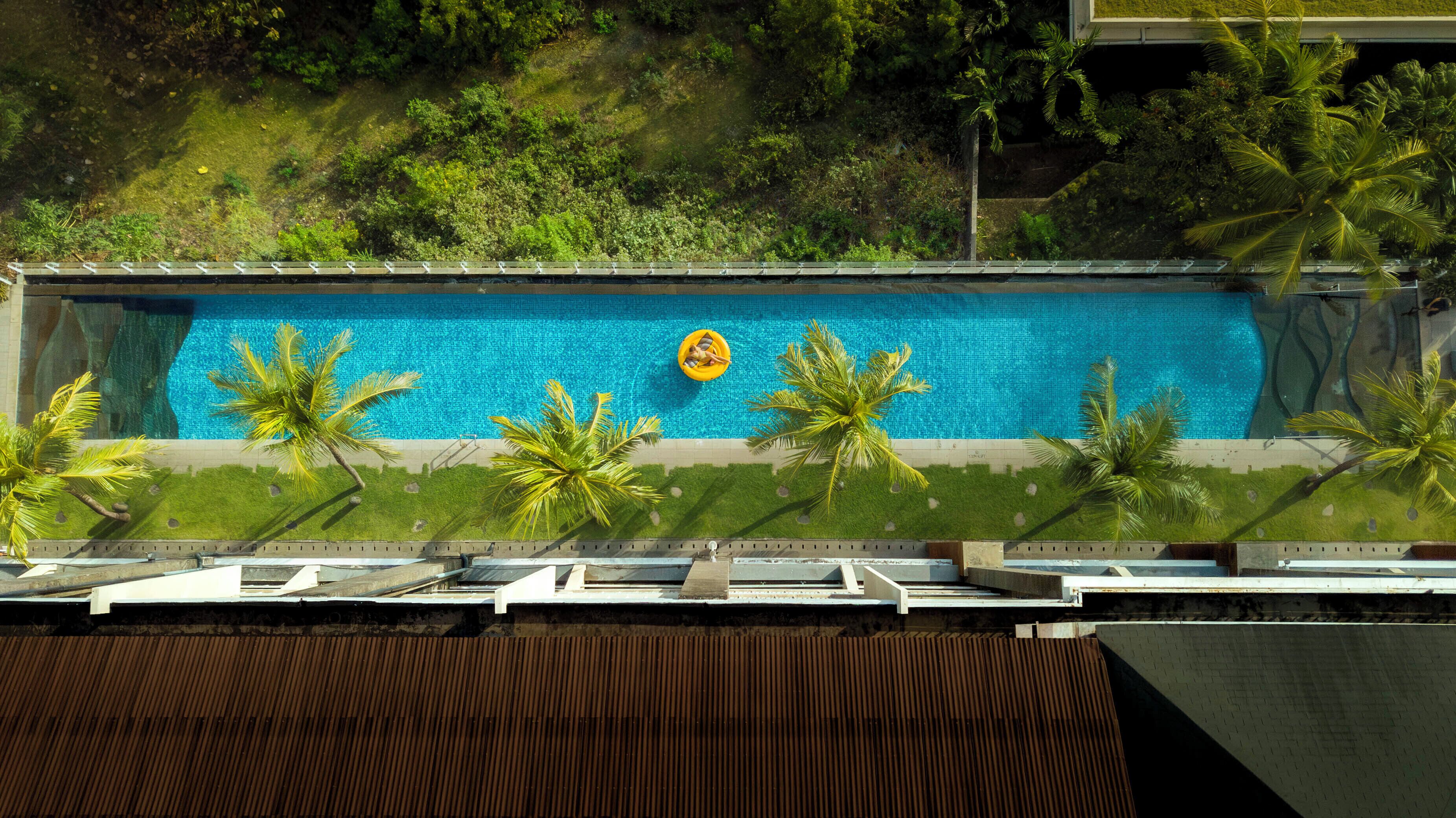 A rectangular swimming pool with a clear blue water surface, surrounded by palm trees and a grassy area.