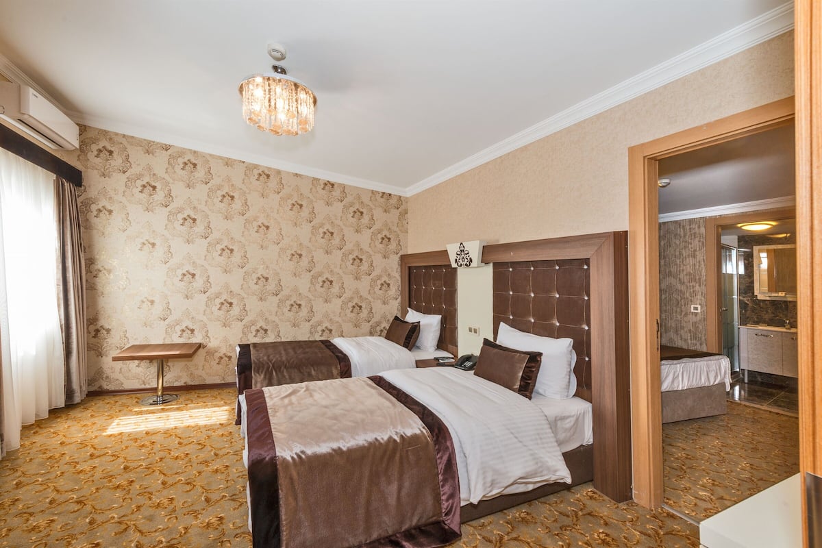 Habitación de hotel con dos camas, una araña, un espejo y una alfombra estampada.