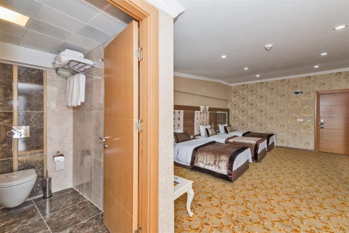 Habitación de hotel con ducha, inodoro, cama con cabecero y alfombra estampada.