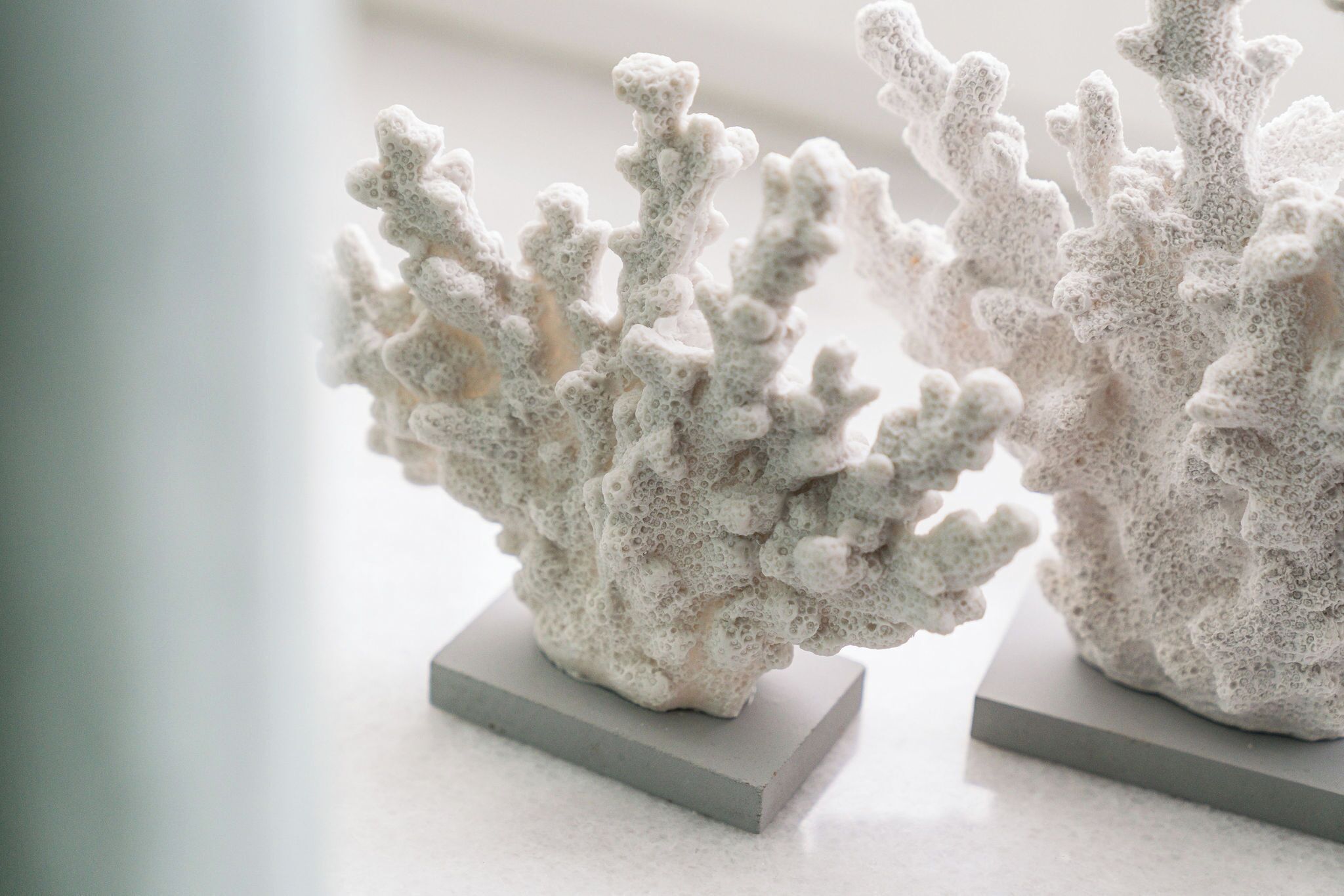 Two coral sculptures on a plain surface.