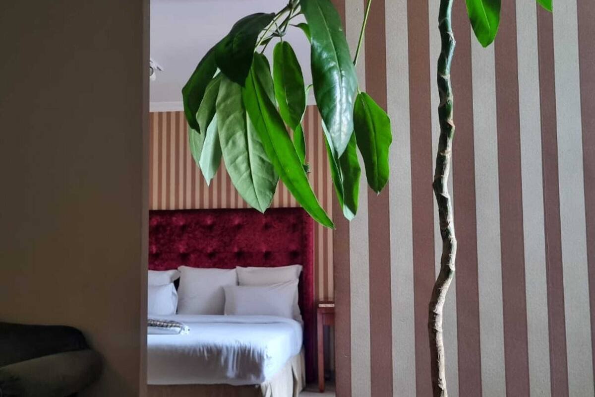 Quarto de hotel com cama, mesa de cabeceira e uma planta grande.
