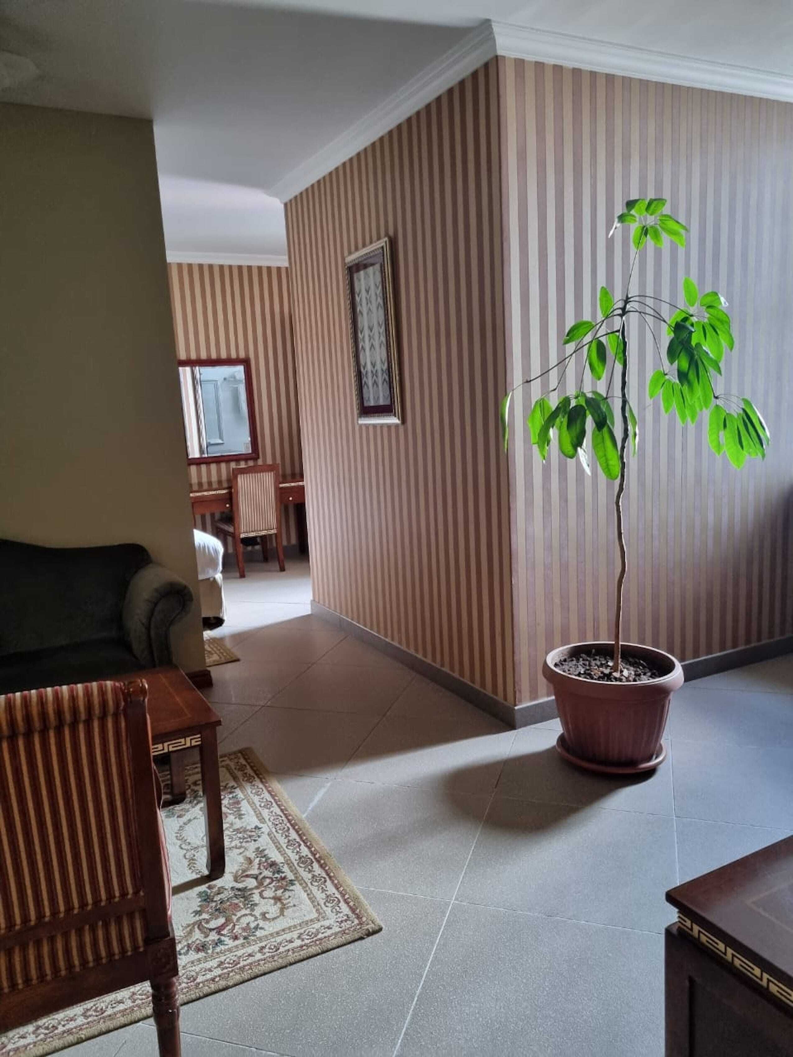 standard apartment | egyptian cotton sheets, premium bedding, in-room safe