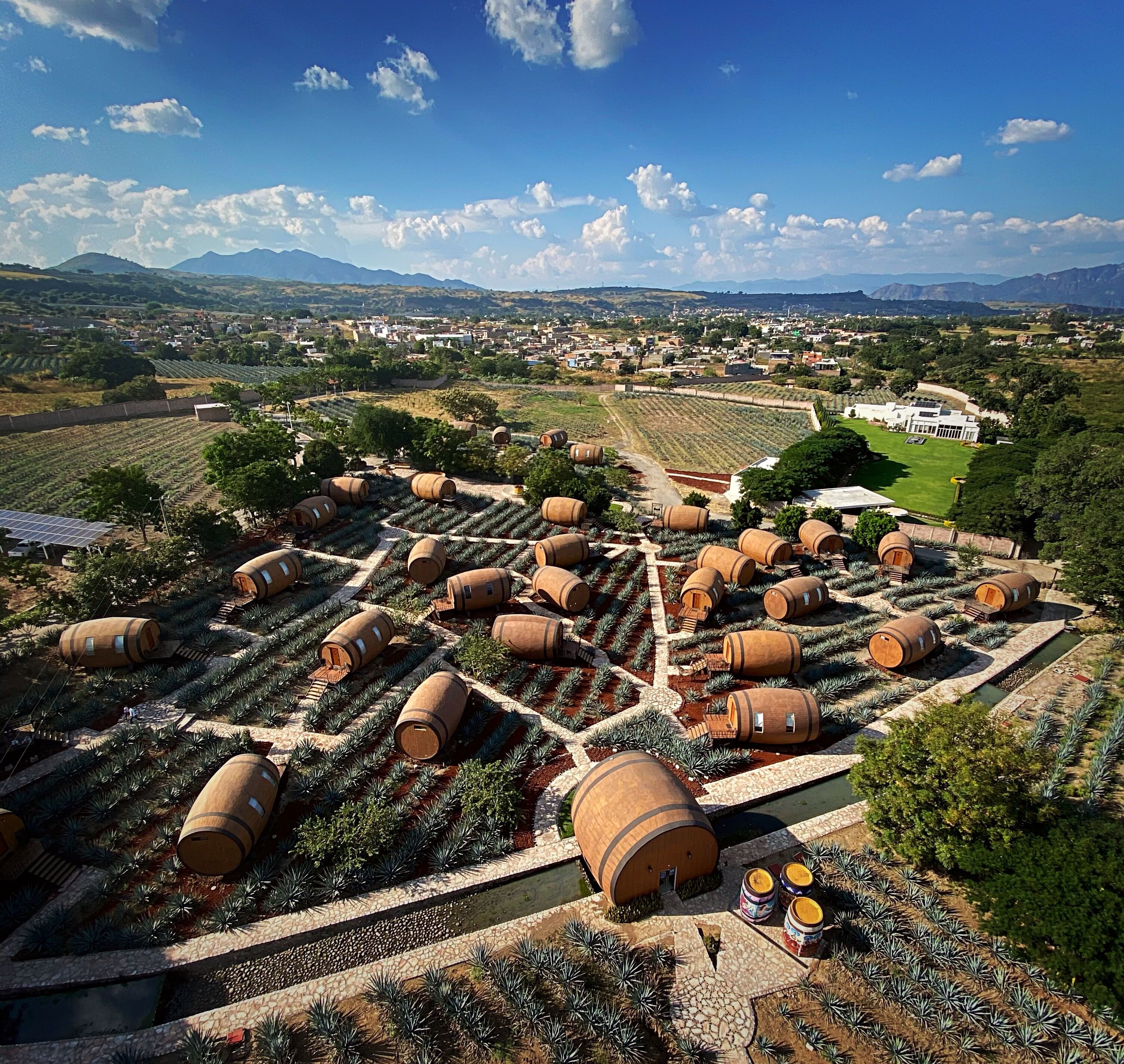Vista aérea de un viñedo con hileras de vides y grandes barriles de madera, probablemente utilizados para la producción de vino.