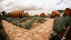 Una serie de alojamientos con forma de barril, senderos de piedra y plantas de agave.