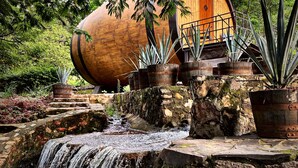 A rustic building with a wooden exterior, a stone pathway leading to a small waterfall, and potted plants around the area.