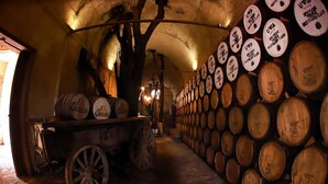 A cellar with wooden barrels stacked against the walls and a cart with barrels.