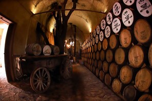 A cellar with wooden barrels stacked against the walls and a cart with barrels.