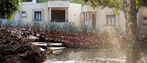 Silver King (No Barrica) | Minibar, caja fuerte, wifi gratis y ropa de cama