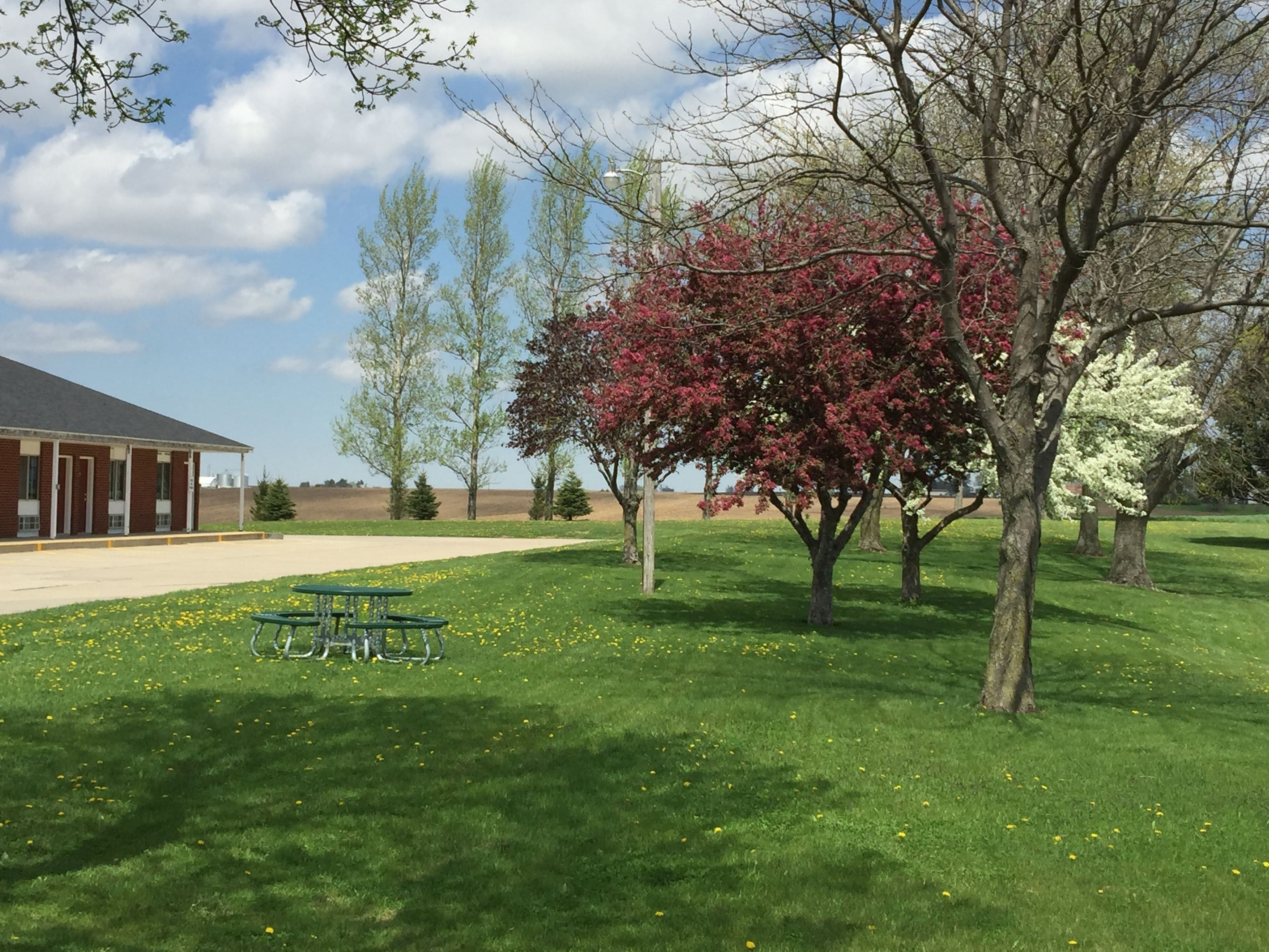 View from property