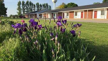 Vue depuis lâhĂ©bergement