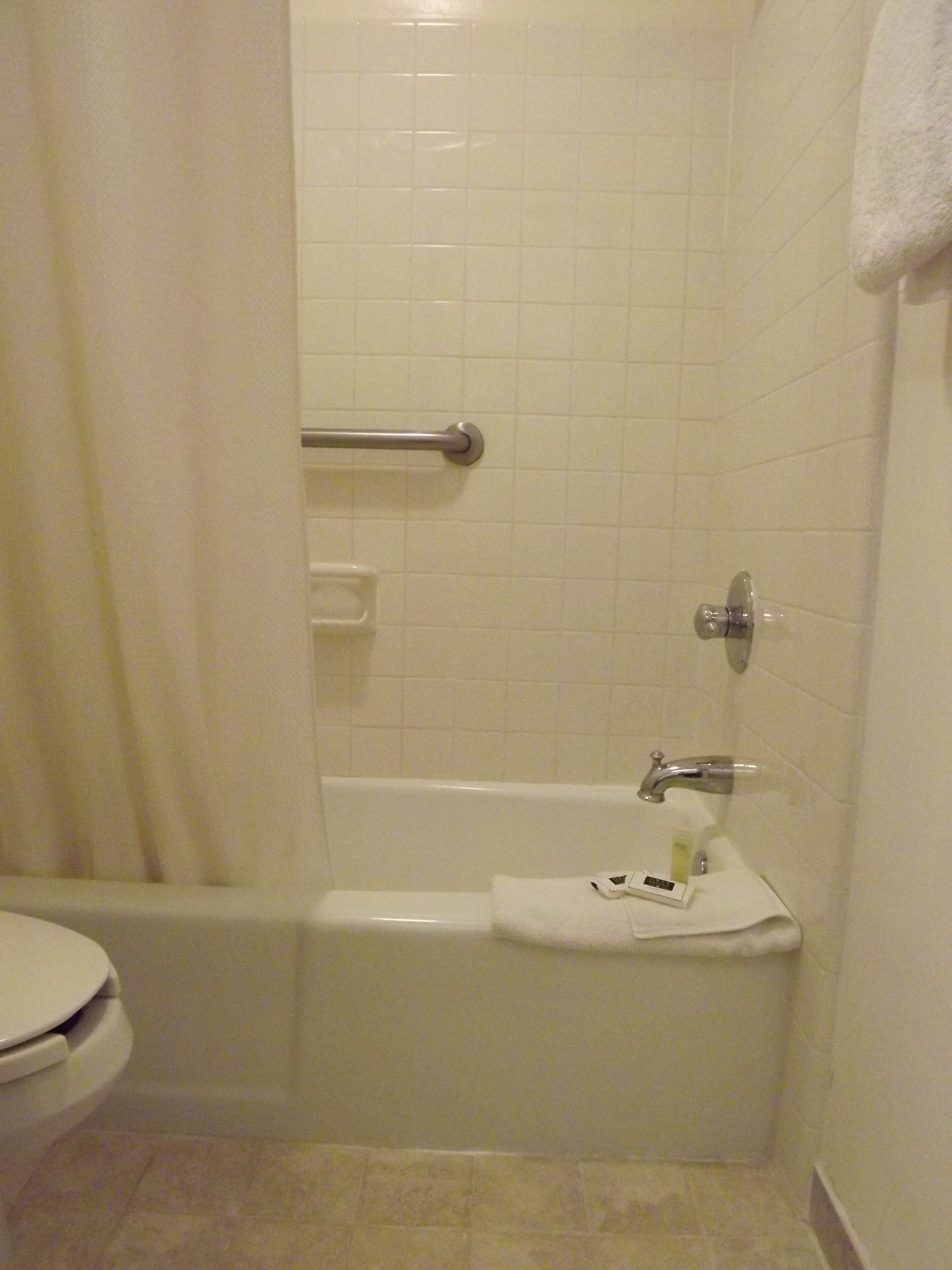 A bathroom with a bathtub, toilet, and a shower curtain.