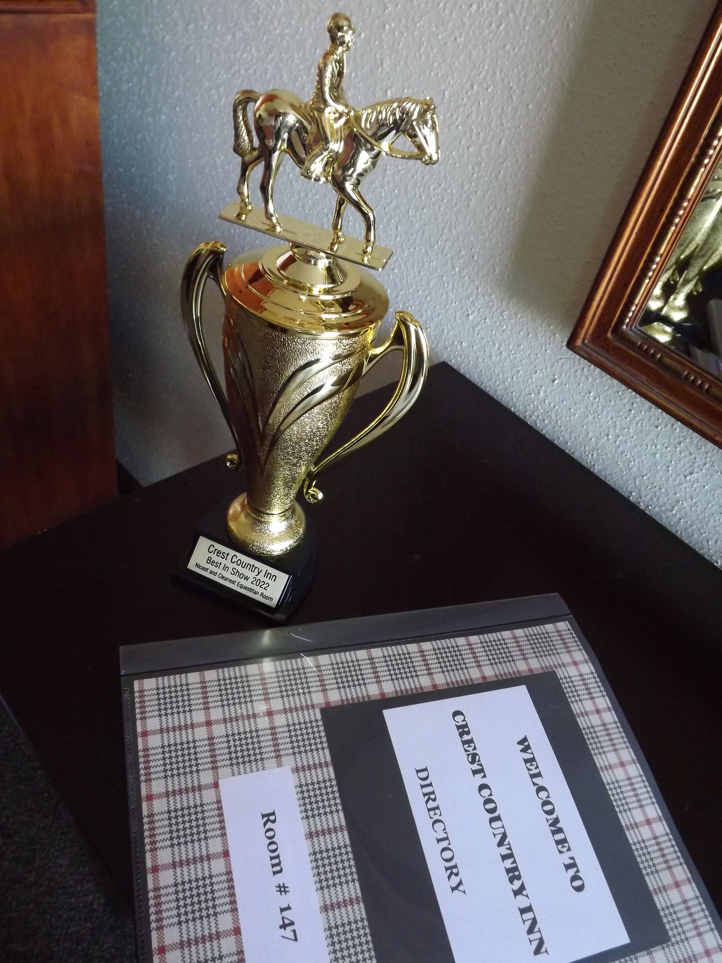 Un trofeo sobre una mesa con una placa que indica 