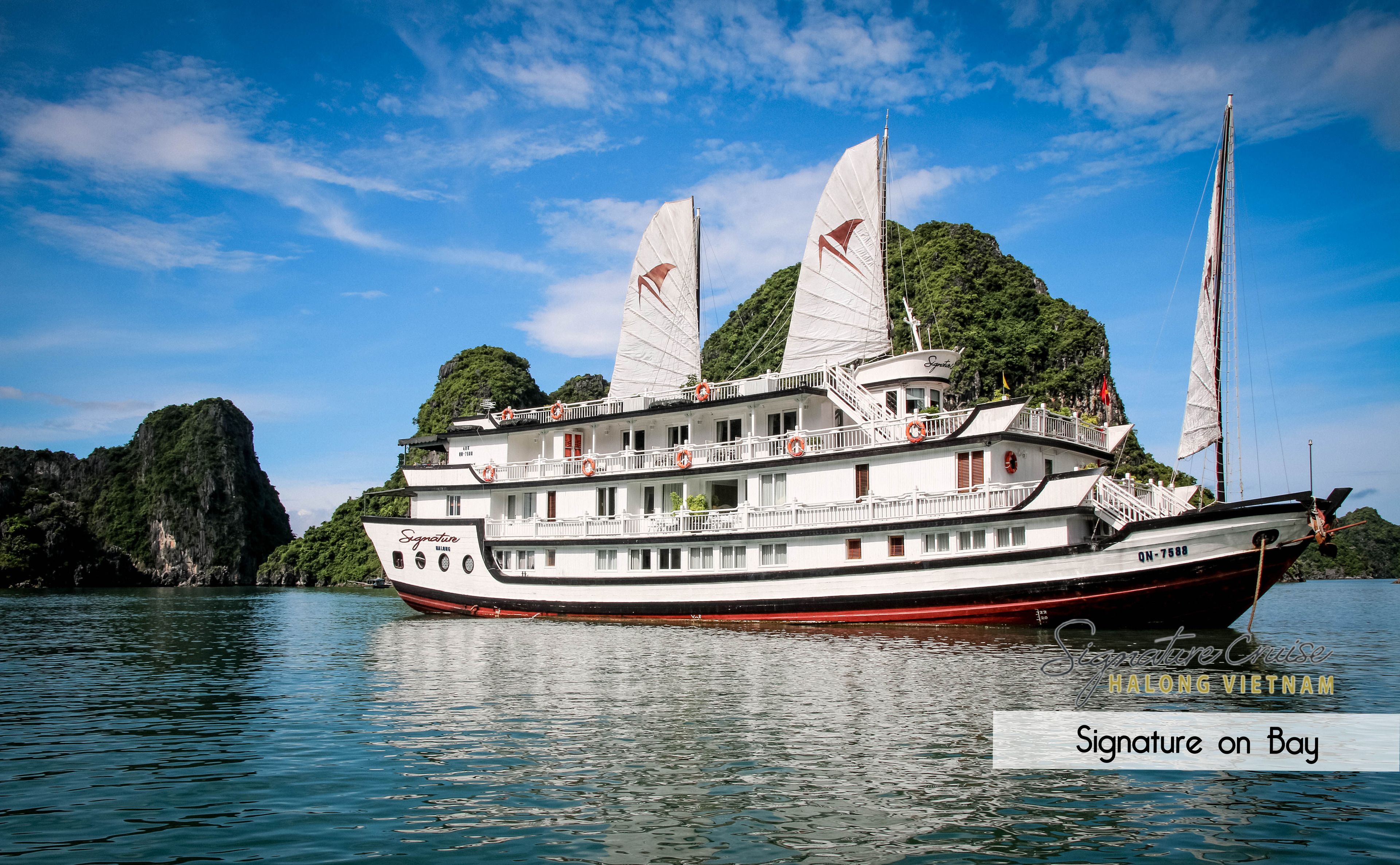 A large white boat with multiple decks and sails, docked near a mountainous coastline.