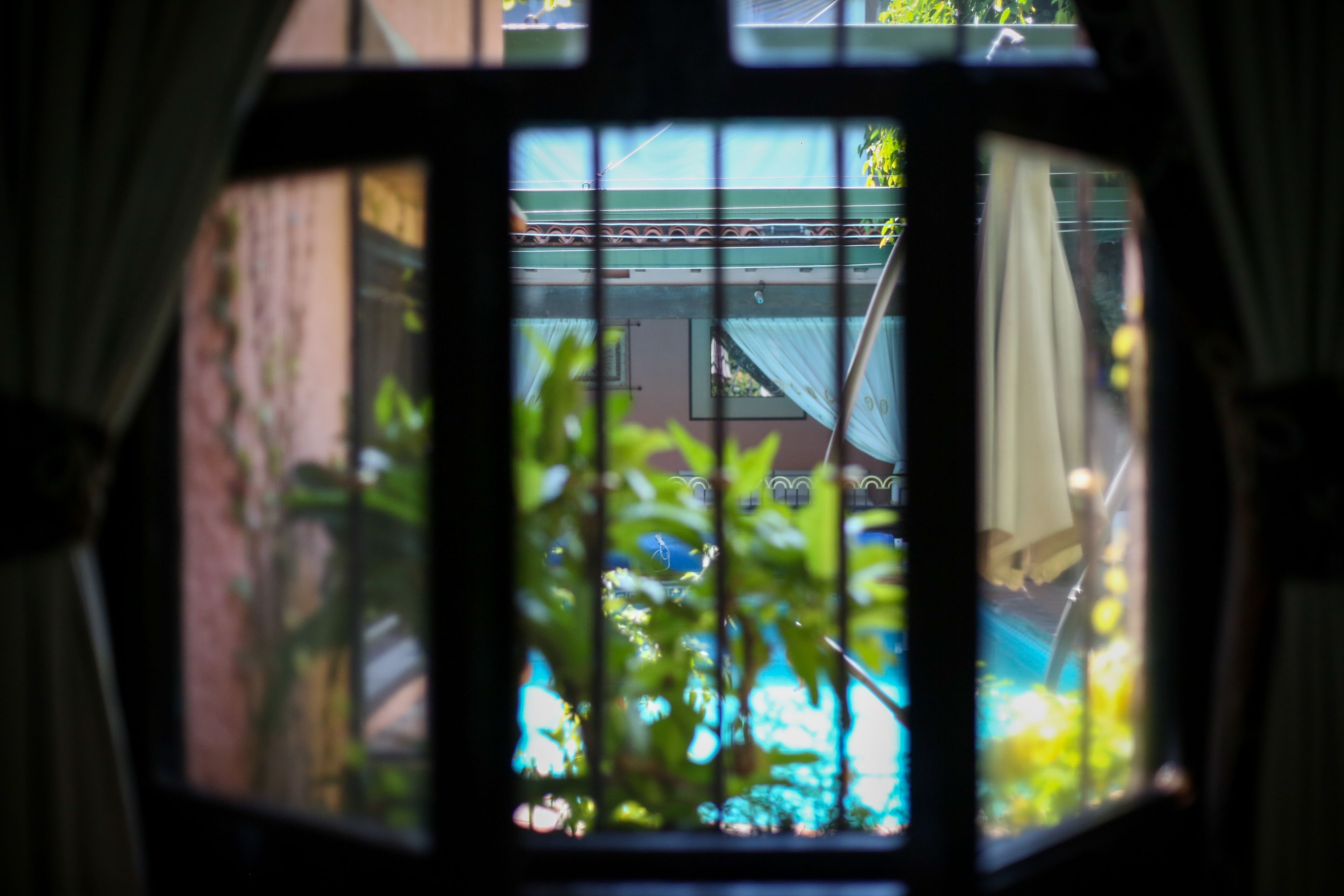 Suite with a King bed, Accesible, Pool View (Margaritas) | View from room