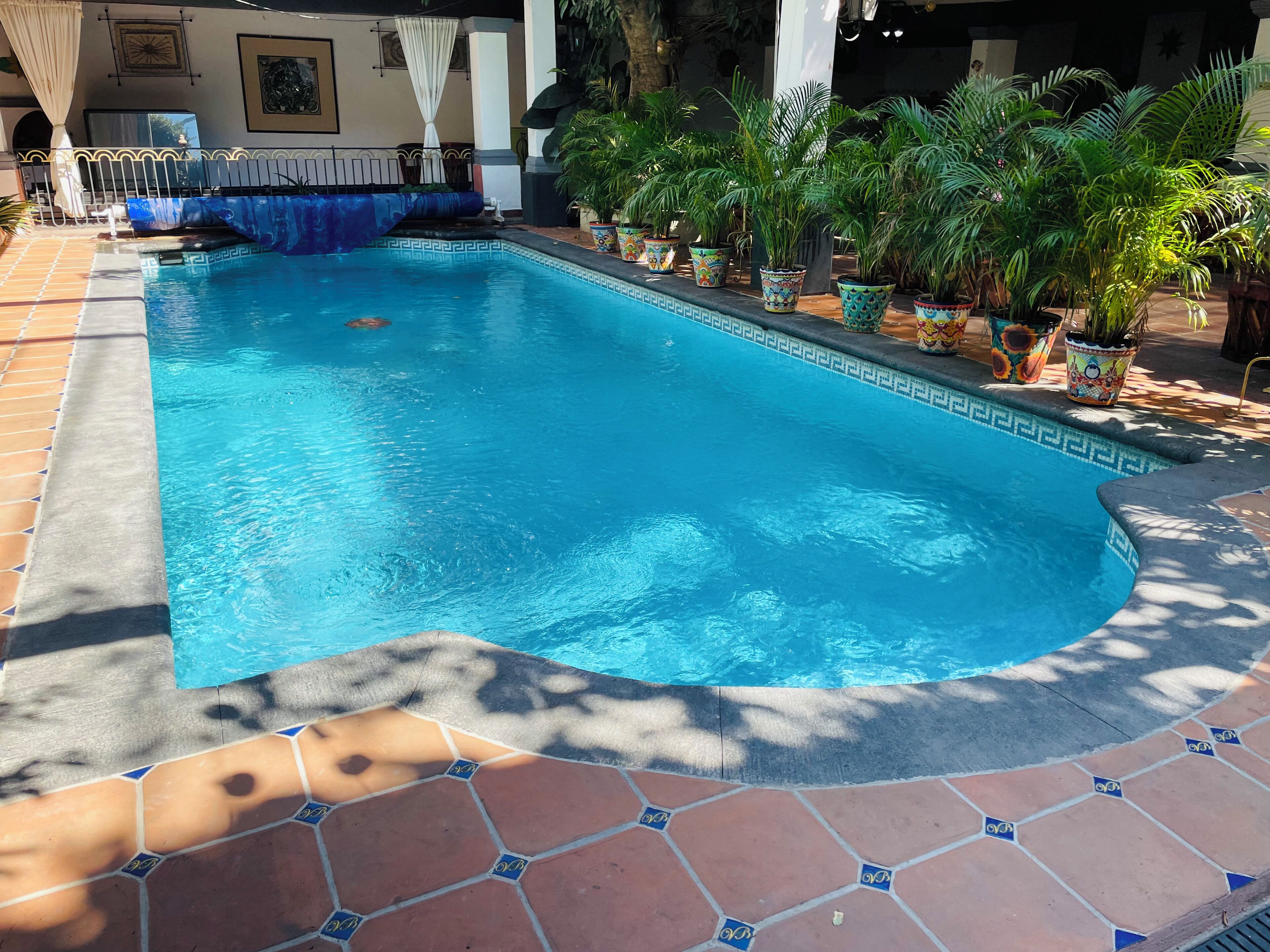 outdoor pool, open 8:00 am to 8:00 pm, pool loungers