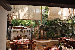 Se sirven almuerzos y brunches