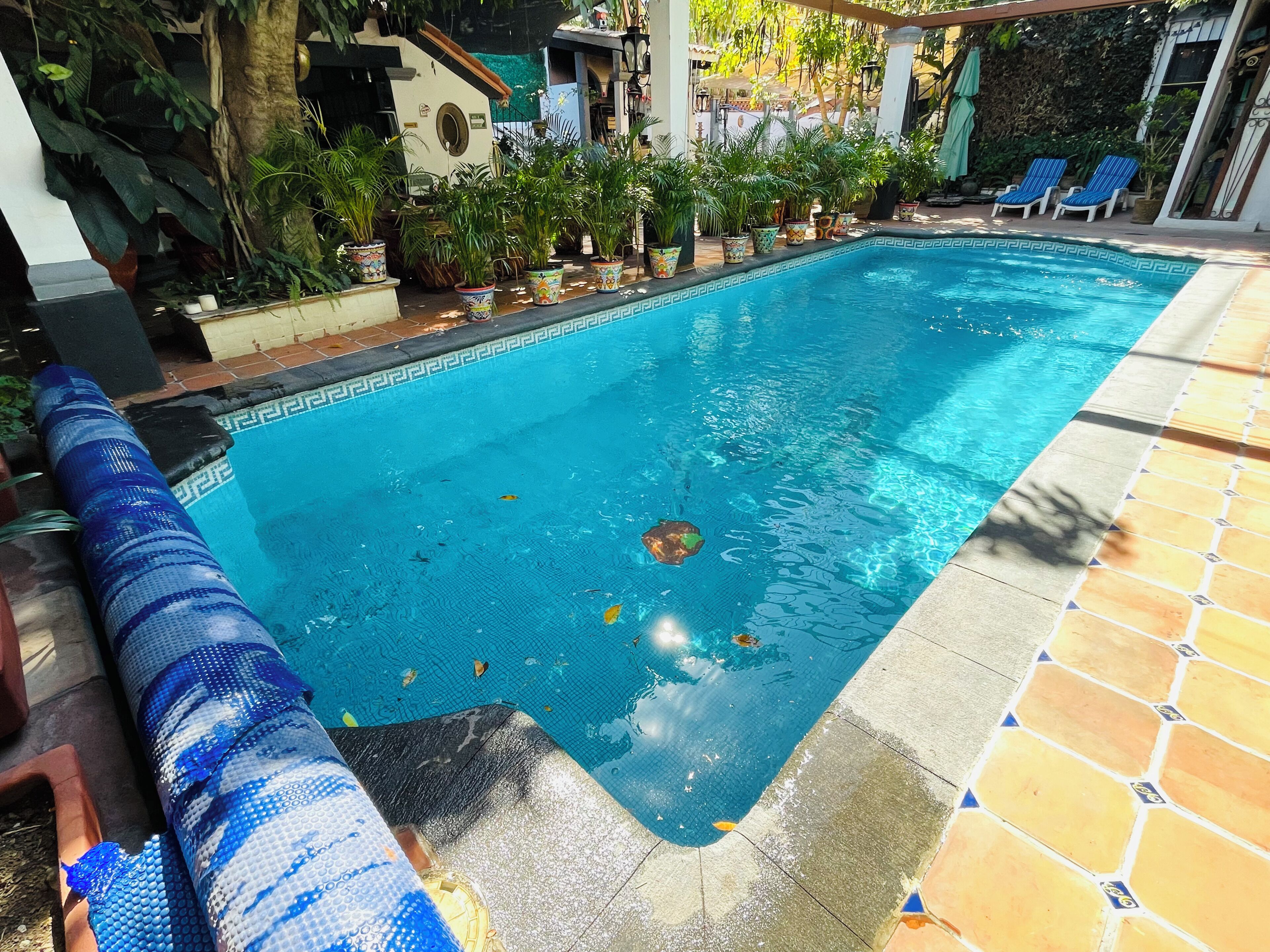 outdoor pool, open 8:00 am to 8:00 pm, pool loungers