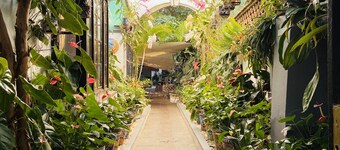 Hotel Boutique Villa Bonita Les Terrases