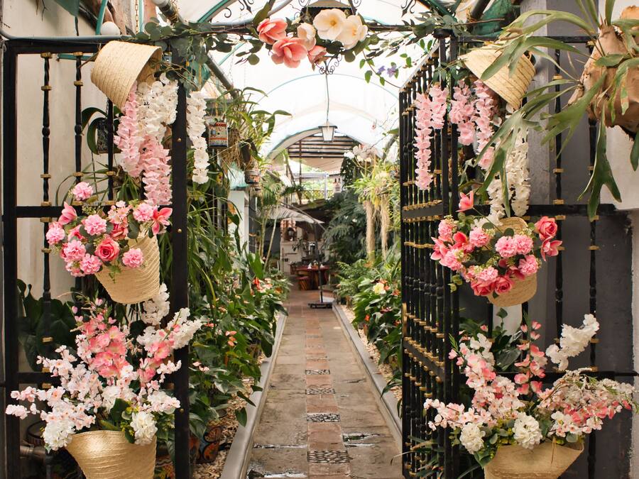 Terassi/patio