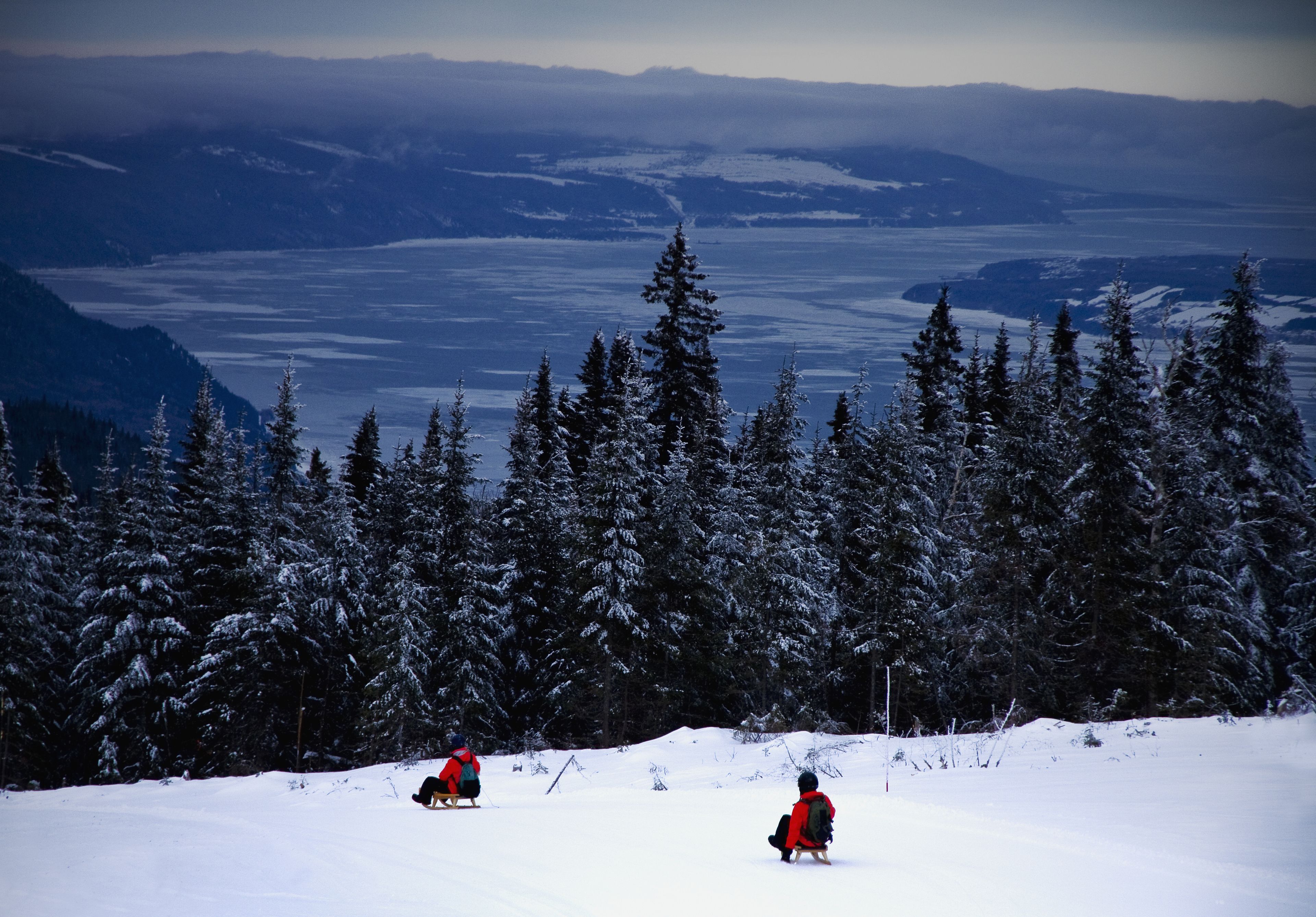 A snowy mountain landscape with dense evergreen trees and a clear view of distant mountains.