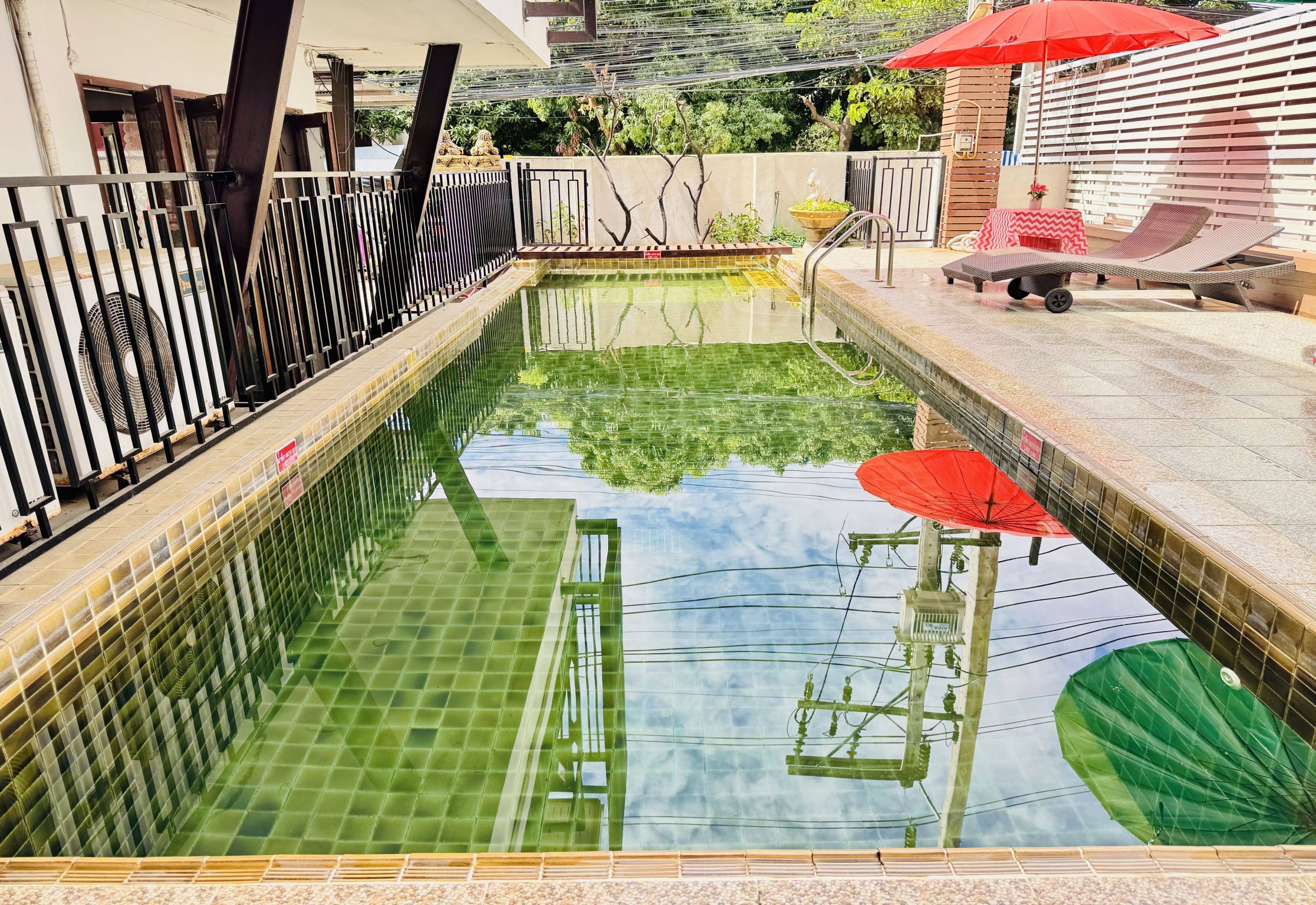 Photo - Collection O Bupamontra Chiangmai