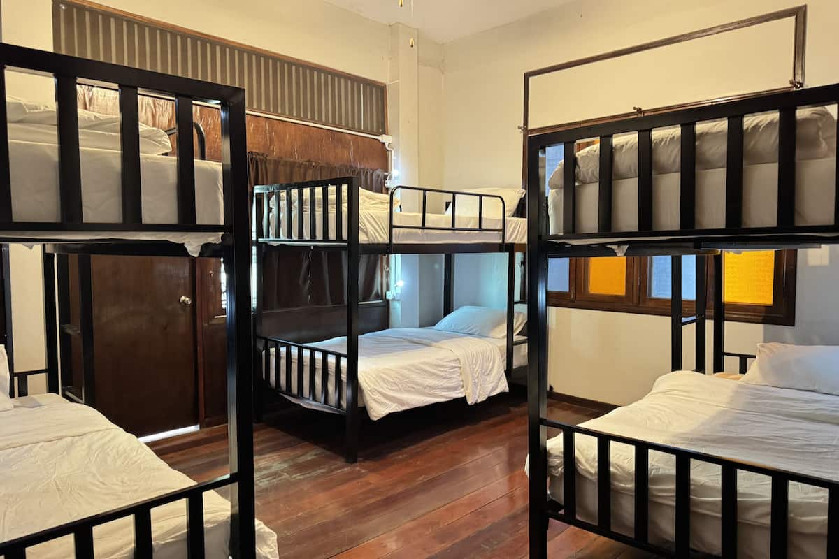 Dortoir Partagé, femmes uniquement (Bed In 6-Bed Female Dorm Room) | Espace de travail pour ordinateur portable, Wi-Fi gratuit, draps fournis