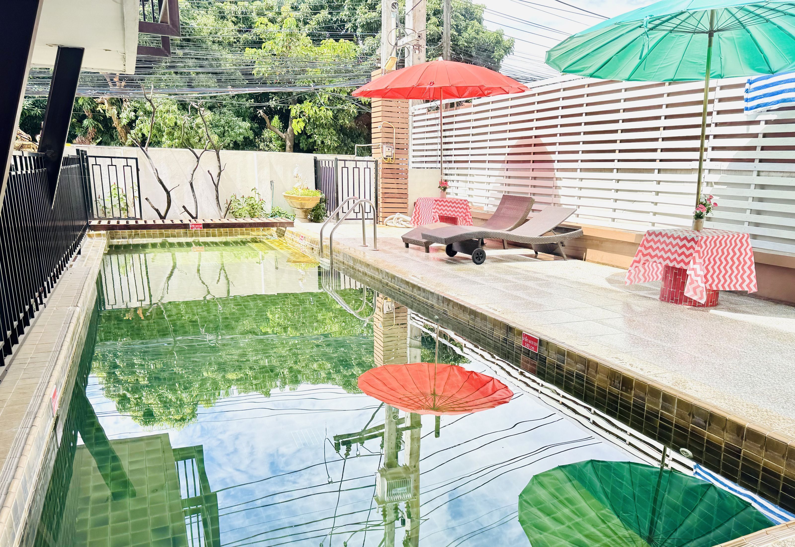 Photo - Collection O Bupamontra Chiangmai