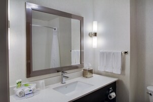 Un baño de hotel con un espejo grande, un lavabo, un perchero para toallas y un inodoro.