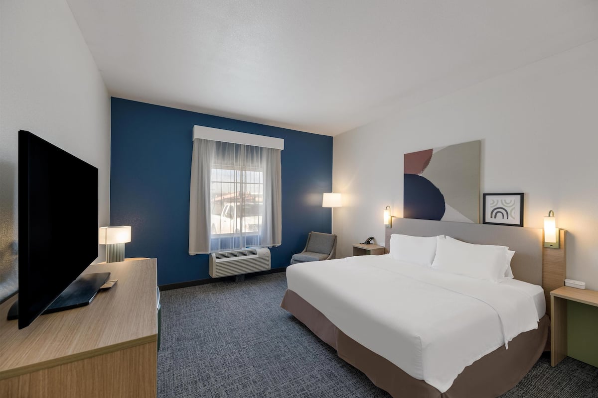 Room, 1 King Bed, Accessible (Mobility) | Desk, laptop workspace, blackout drapes, iron/ironing board