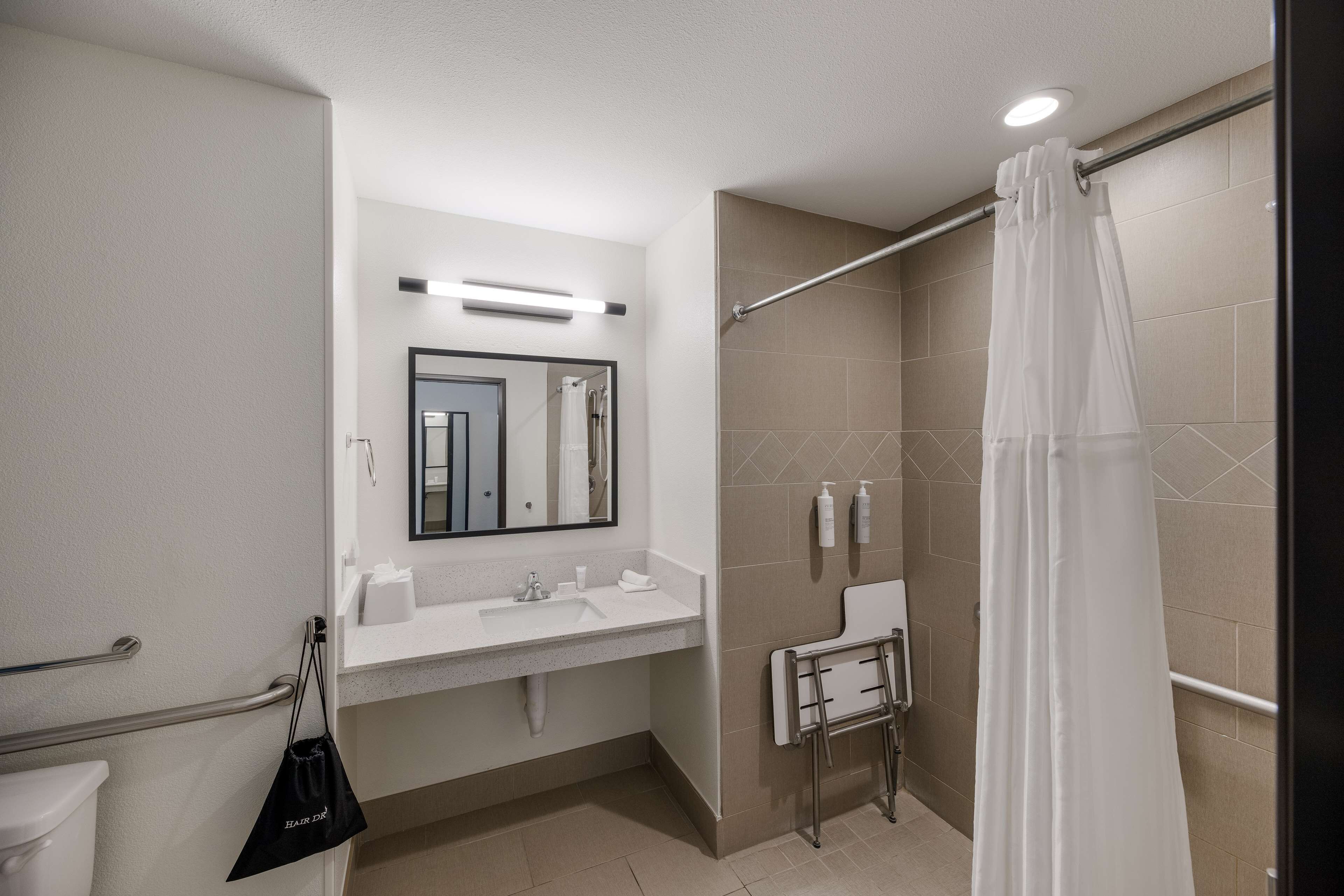 room, 1 king bed, accessible (mobility) | bathroom shower