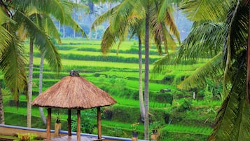 Family Suite, Connecting Rooms | Property grounds