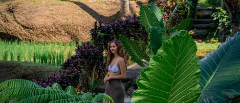 A person standing in a lush garden with large green leaves and a variety of plants.