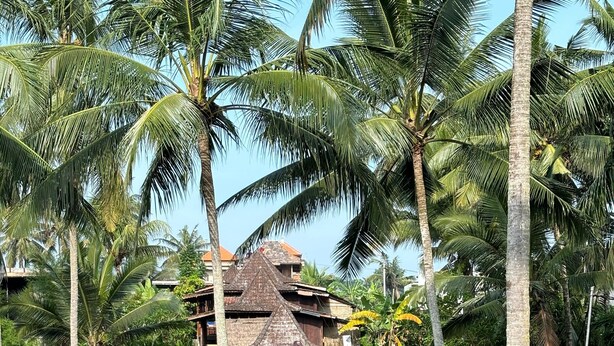 A pool area with a statue, palm trees, and a traditional building. - Junjungan Suite Villa (Ubud)