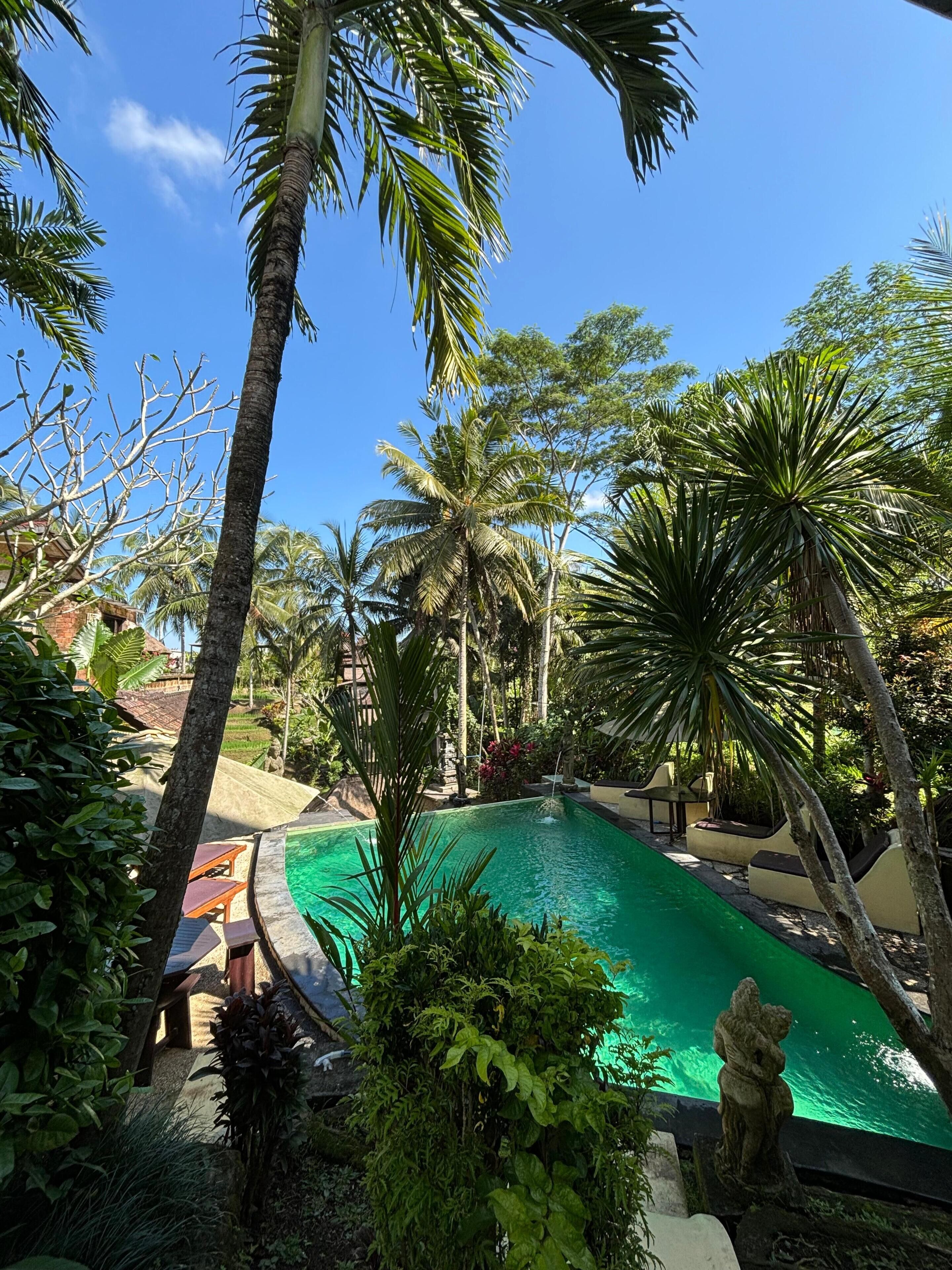 2 outdoor pools, pool loungers