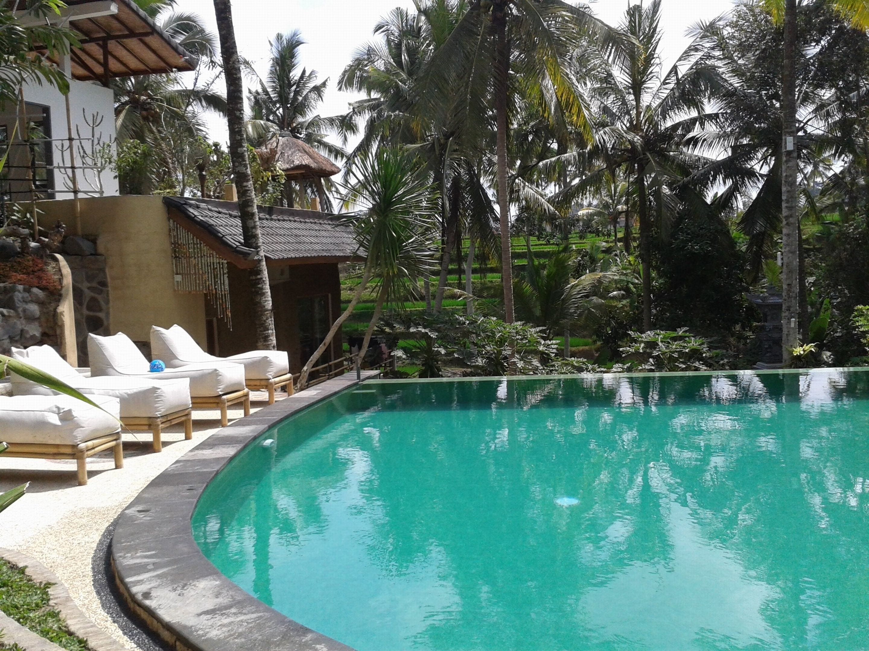 A swimming pool with lounge chairs and a stone wall.