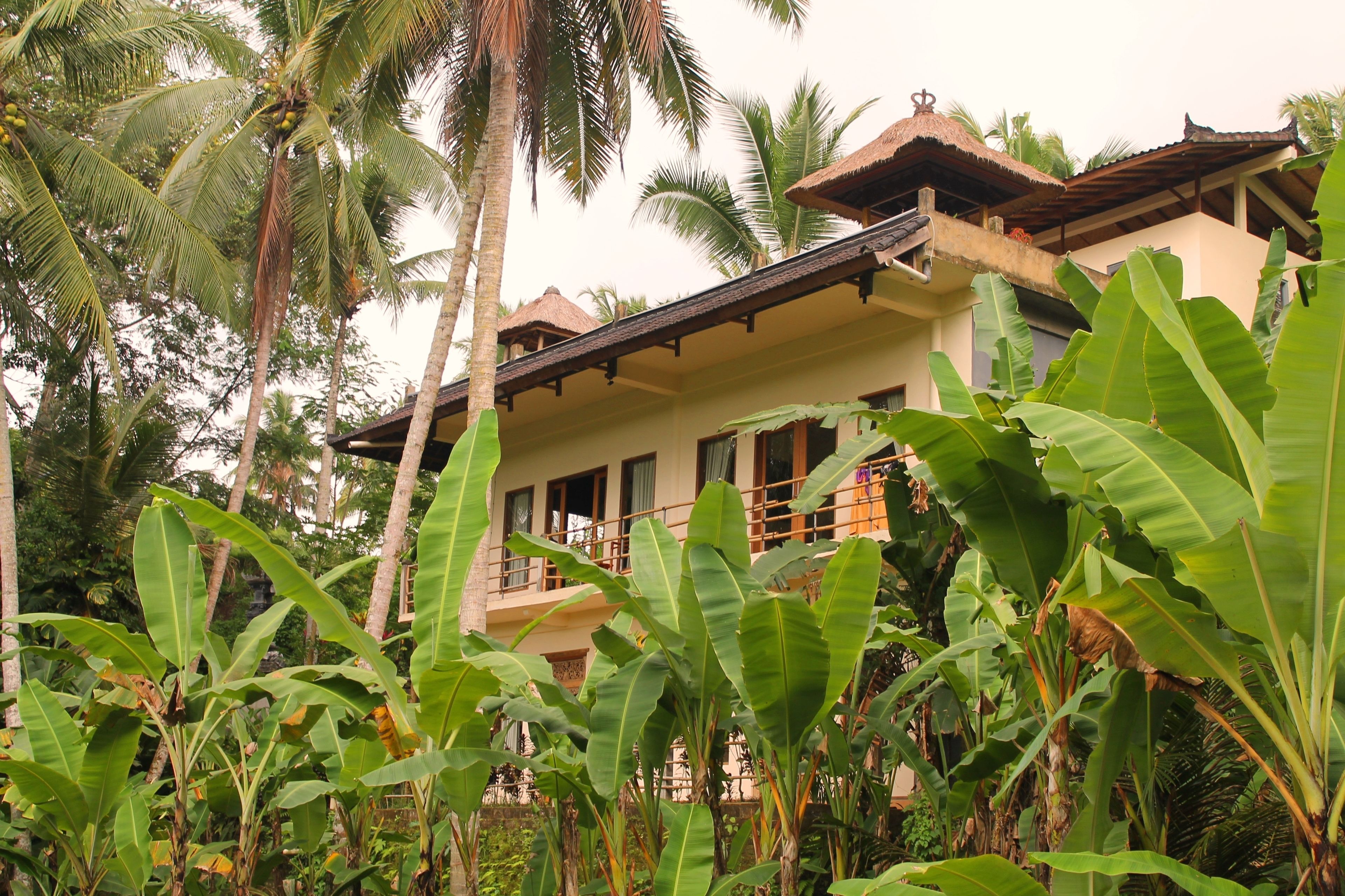 A two-story building with a balcony, surrounded by lush tropical vegetation.