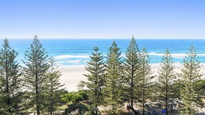 A beach with clear skies, ocean, and tall pine trees. - Solnamara Beachfront Apartments (Burleigh Heads)