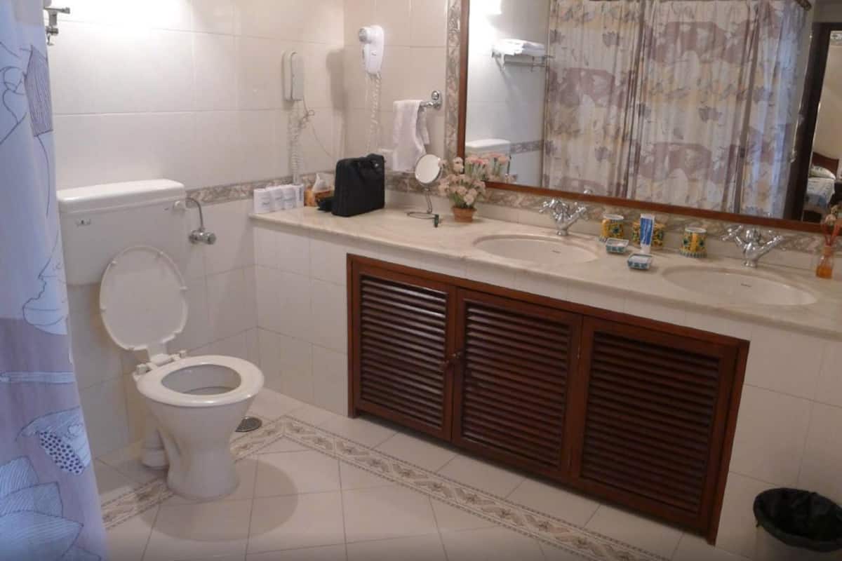 shower, free toiletries, hair dryer, towels