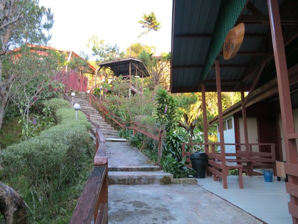 Un escalier menant à une zone abritée, dotée d’une rambarde en bois, entourée de verdure et bordée par un bâtiment dont le toit est végétalisé.