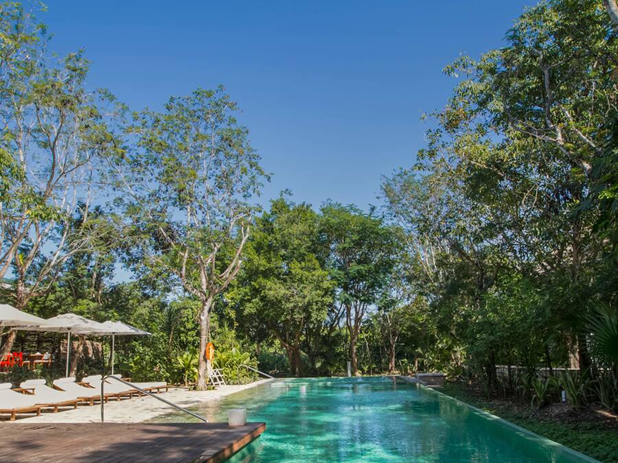Outdoor pool, open 8:00 AM to 8:00 PM, free cabanas, pool umbrellas