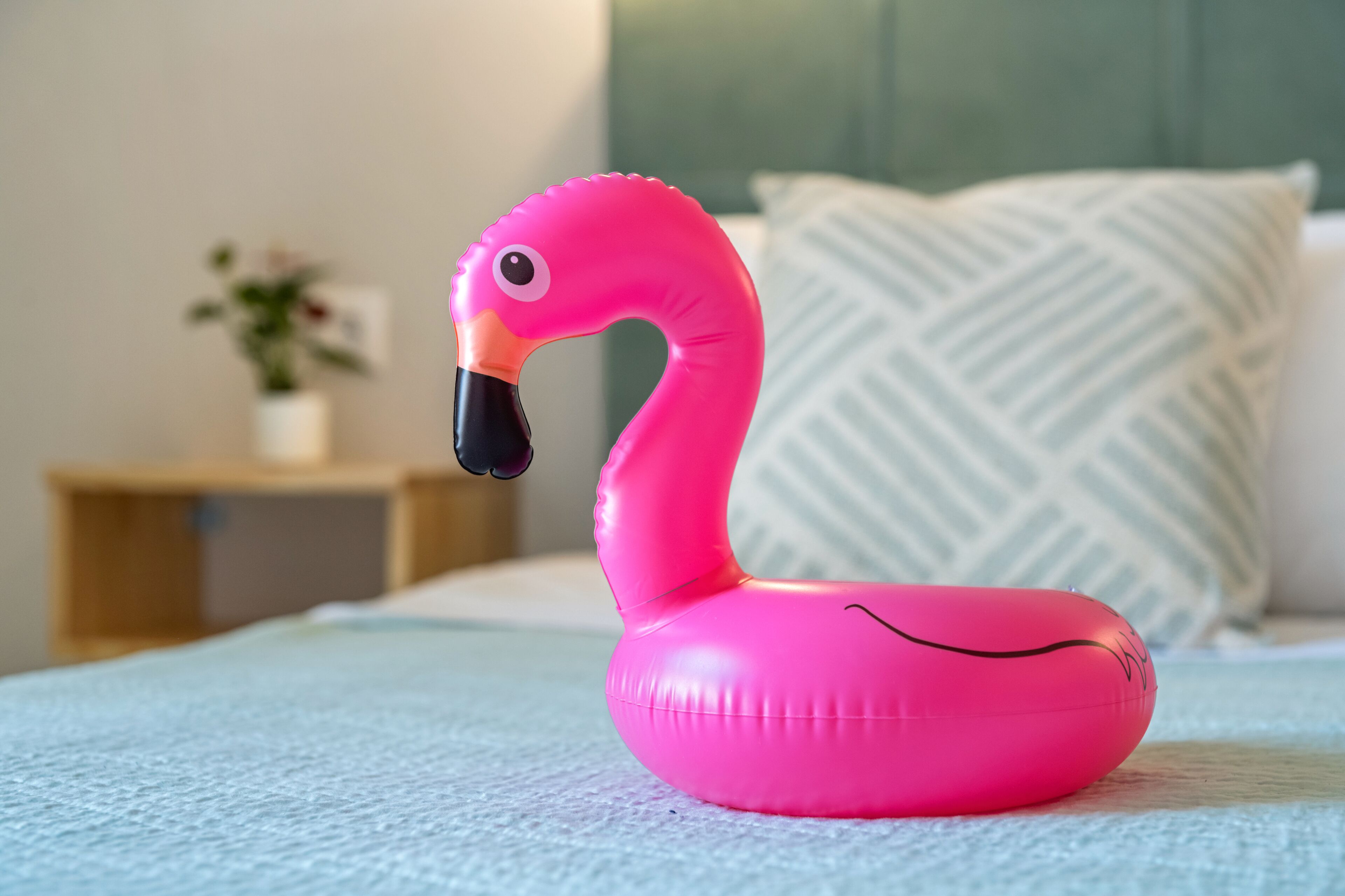 Photo - Batelo - Adults Only