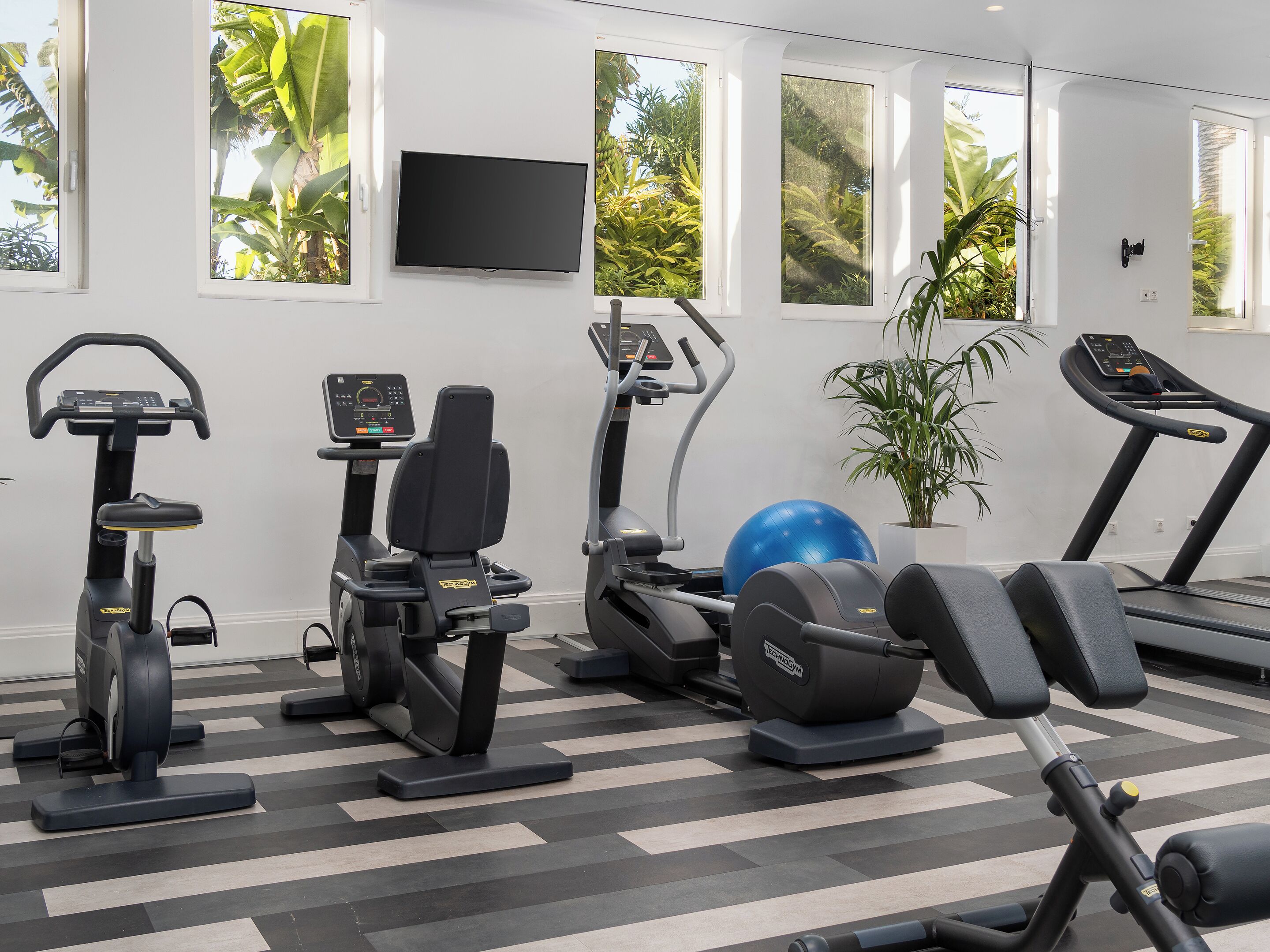 Ein Fitnessstudio mit Trainingsgeräten, großen Fenstern und einem Blumentopf.