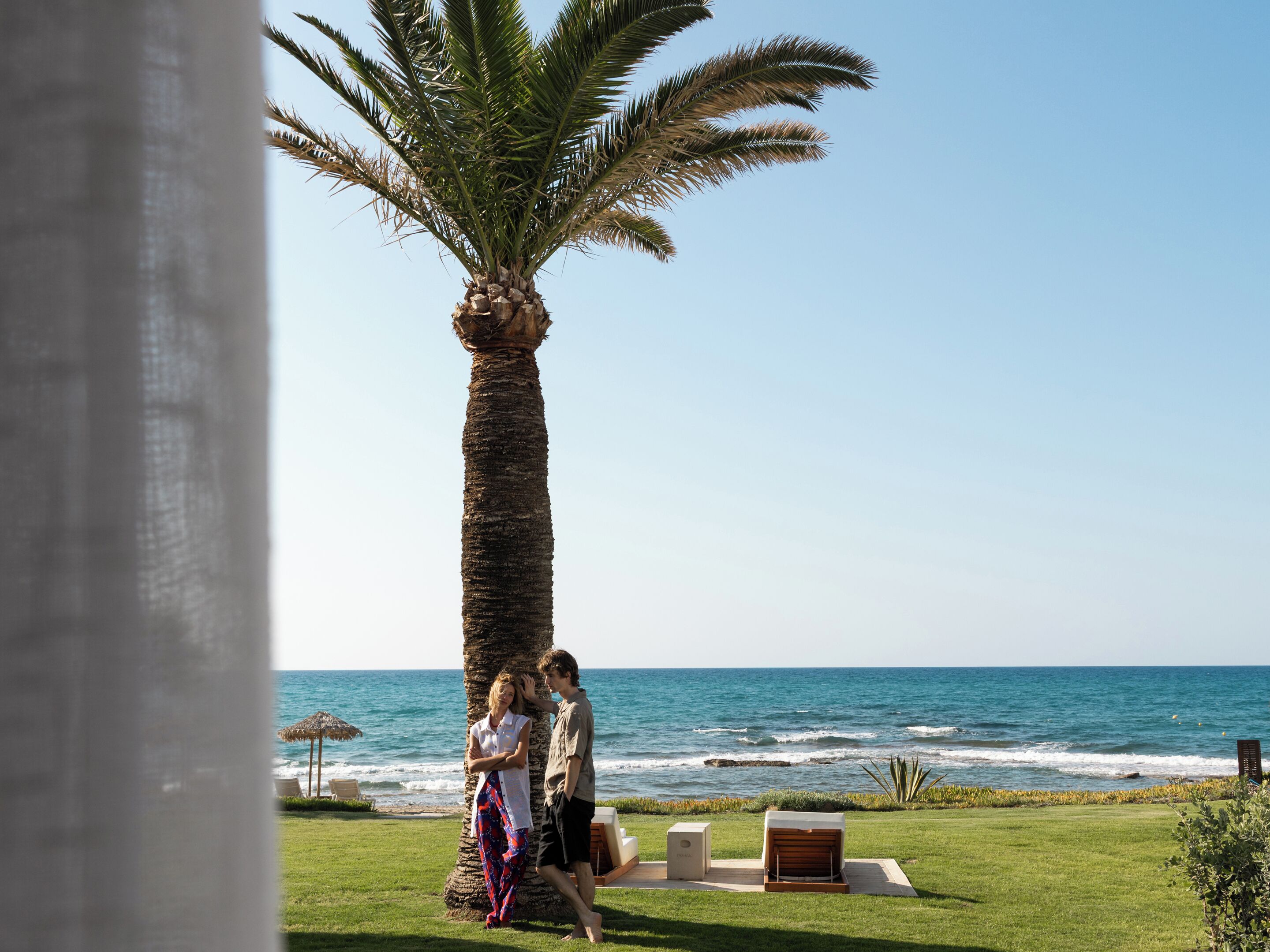 A couple standing by a palm tree with a view of the ocean.